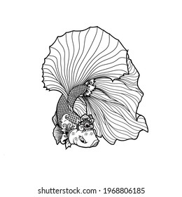 Betta fish vector with Balinese carving theme for clothes and t-shirt designs