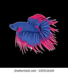 betta fish vector  colorful