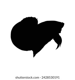 betta fish vector design silhouette
