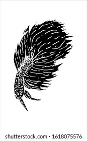 Betta Fish Vector Illustration. beautiful Fighting fish, Hand drawing Siamese fighting fish. silhouette isolate on white background