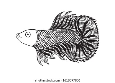Betta Fish Vector Illustration. beautiful Fighting fish, Hand drawing Siamese fighting fish.