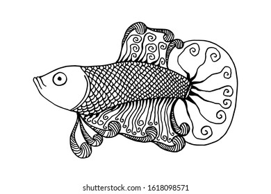 Betta Fish Vector Illustration. beautiful Fighting fish, Hand drawing Siamese fighting fish.