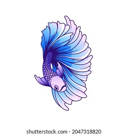 betta fish vector illustration, beautiful fish to beat and use