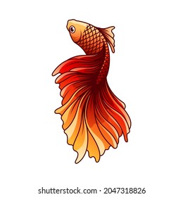 betta fish vector illustration, beautiful fish to beat and use