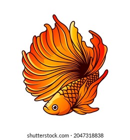 betta fish vector illustration, beautiful fish to beat and use