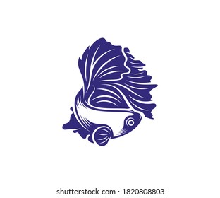 Betta fish vector illustration, fighting fish logo design template