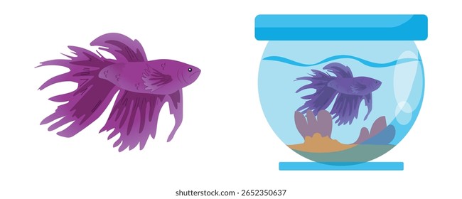 betta fish, ilustração vetorial de um peixe ornamental em um aquário.
