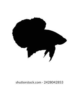 Diseño de silueta de vector de pez beta