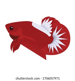 gambar vektor logo ikan cupang vector