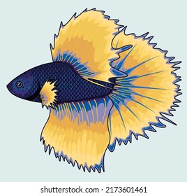 Betta Mustard Gas Halfmoon Tropical Fish