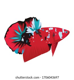 Logo Betta Hd Stock Images Shutterstock