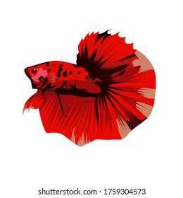 Betta Red Halfmoon Logo Vector Illustration