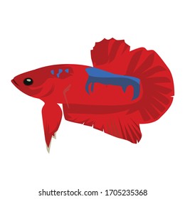 Betta Red Logo Vector Illustration