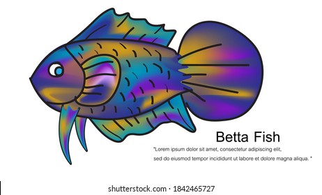 Betta Thai on a white background Vector illustration