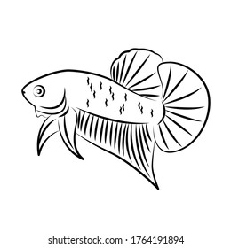 Betta Wild Line Art Minimalist Vector