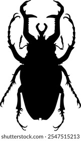 bettle vector art black and white