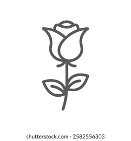 A Beutiful custom rose Vector design