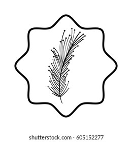 beutiful feather decoration deign