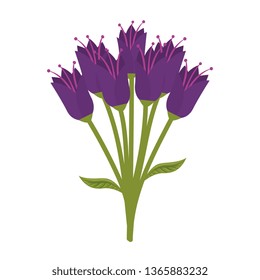 beutiful flowers bouquet icon