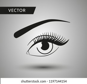 Beutiful woman eye vector. Eyes makeup. Winged eyeliner with long lashes makeup