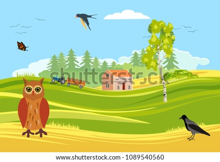 Similar – Image, Stock Photo Raven on the meadow Nature