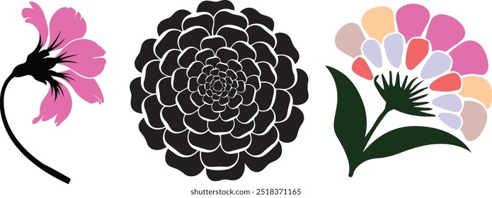 beutifull fllowers vector desgin .  color full 