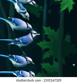 A bevy of beautiful blue jays