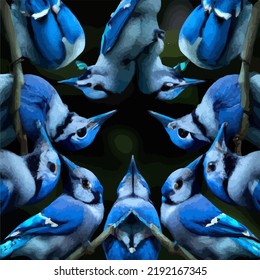 Un compás de hermosos jays azules