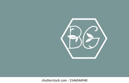 BG abstract vector logo monogram template 