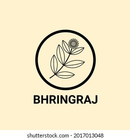 Bhringraj logo design, Eclipta Alba or Eclipta Prostrata, also known as False Daisy is an effective herbal medicinal plant in Ayurvedic medicine. vector illustration.