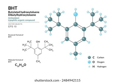 BHT. Dibutyl or Butylated Hydroxytoluene. Structural Chemical Formula and 3d Model of Molecule. C15H24O. Color Coding. Vector Illustration for Educational Materials, Scientific Articles, Presentations