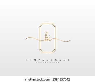 BI initial handwriting logo template vector