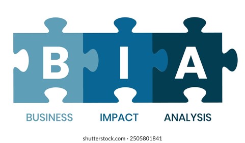 BIA - Análisis de Impacto Empresarial, acrónimo, concepto de fondo