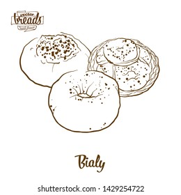 Bialy bread vector drawing. Food sketch of Yeast bread, usually known in Central Europe. Bakery illustration series.