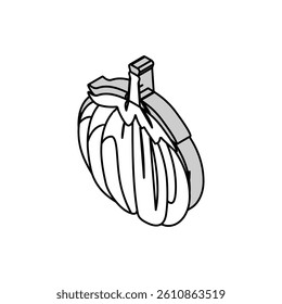 bianca eggplant isometric icon vector. bianca eggplant sign. isolated symbol illustration