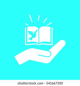 Bible book