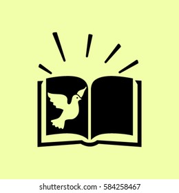 Bible book