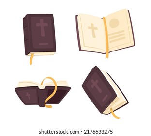 Bible book Organic shape. vector illustration.