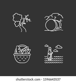 Bible narratives chalk icons set. Fig tree, open coffin, bread and fish, Jesus walking on water. Easter week. Christian miracles. Holy writ. Gospel studying. Isolated vector chalkboard illustrations