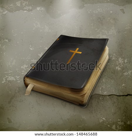 Bible old style vector