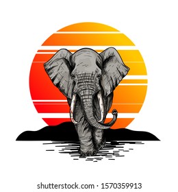 Bic elephant, front view, sunset on the background, hand drawn vector illustration, color sketch