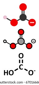 Bicarbonate anion, chemical structure. Common salts include sodium bicarbonate (baking soda) and ammonium bicarbonate. Conventional skeletal formula and stylized representations.