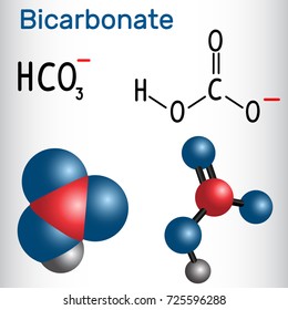 Bicarbonate anion ( HCO3 ) - structural chemical formula and molecule model. Vector illustration