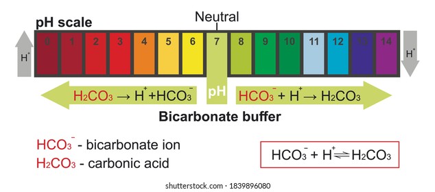 Bicarbonate buffer and the pH scale