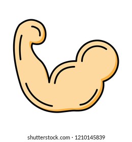 bicep   arm   gym  
