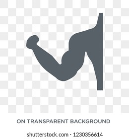 Biceps icon. Trendy flat vector Biceps icon on transparent background from Gym and fitness collection. 