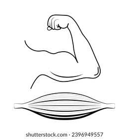 Biceps und Triceps Training, Muskelfaser. Symbol für schwarze Linie. Einfache Rahmenkonstruktion für den Aufbau. Stilvolles Piktogramm für Webdesign oder mobile App. Vektorgrafik. Flachzeilensymbol.