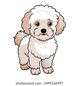 Bichon Frisé Dog breed vector illustration isolated on white background in cartoon style.