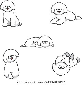 bichon dog set icons in cartoon style. Big collection of bichon dog vector symbol stock illustration