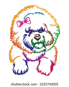 Bichon frise dog abstract multicolored contour portrait. Dog head close up vector illustration isolated on white. For decor, design, print, poster, sticker, t-shirt, cricut,tattoo, embroidery